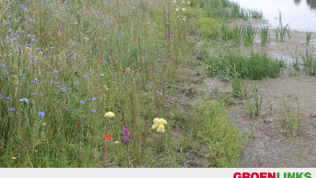 Natuurlijke oevers Wantij-zone Natuurlijke oevers Wantij-zone