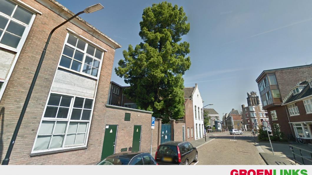 Moeras Cypres aan de Sluisweg Moeras Cypres aan de Sluisweg