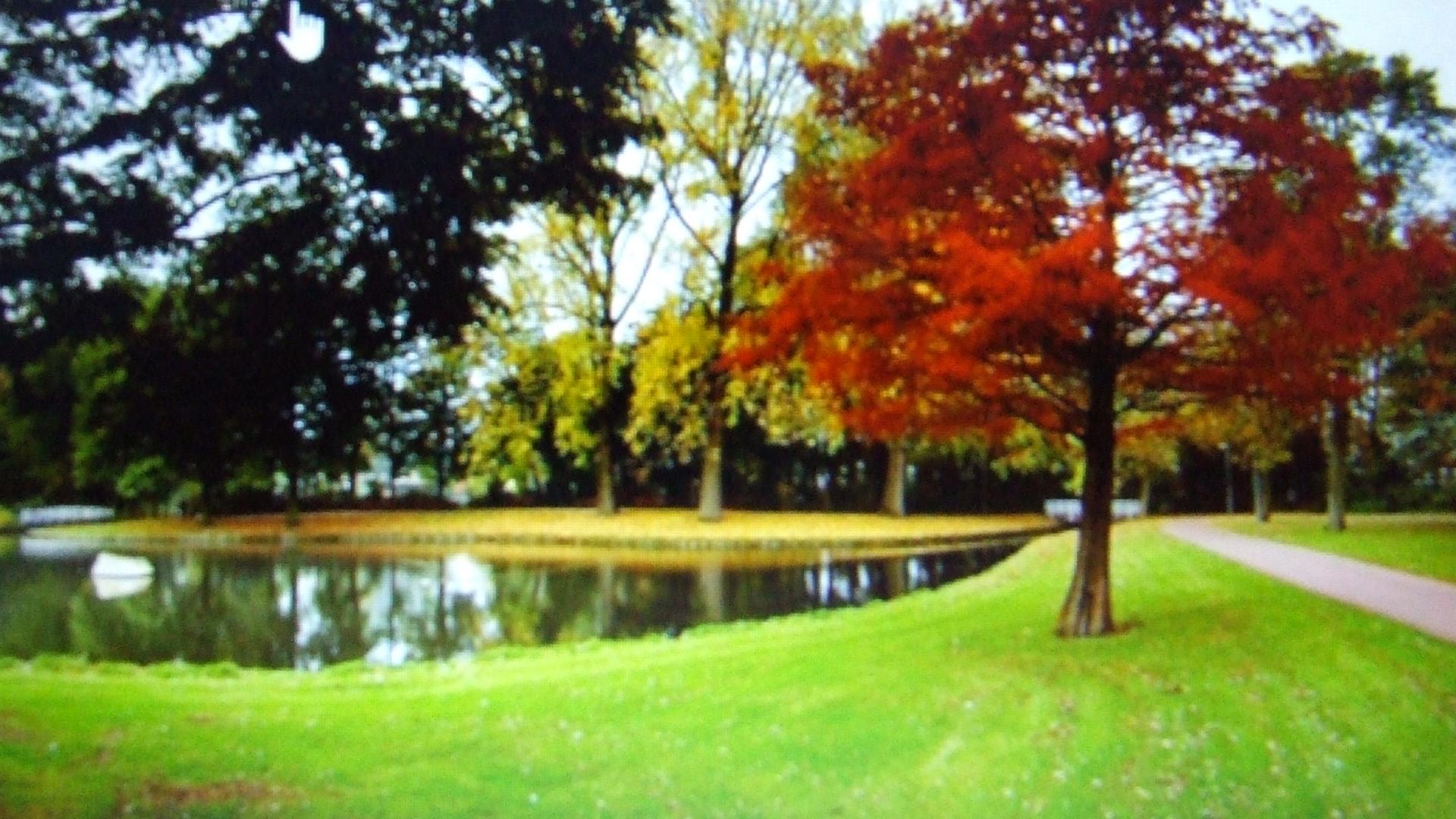 DSCF2599.JPG